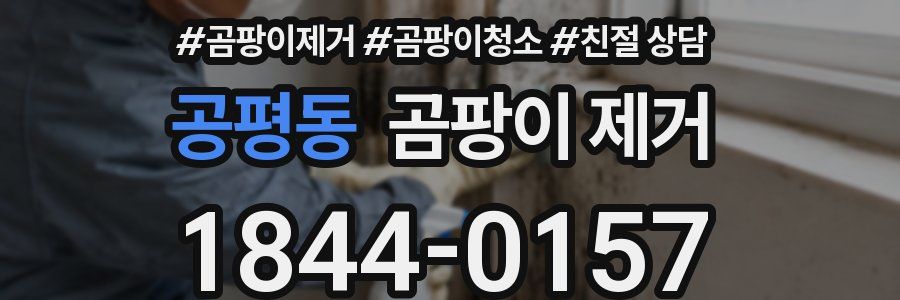 공평동 곰팡이 제거
