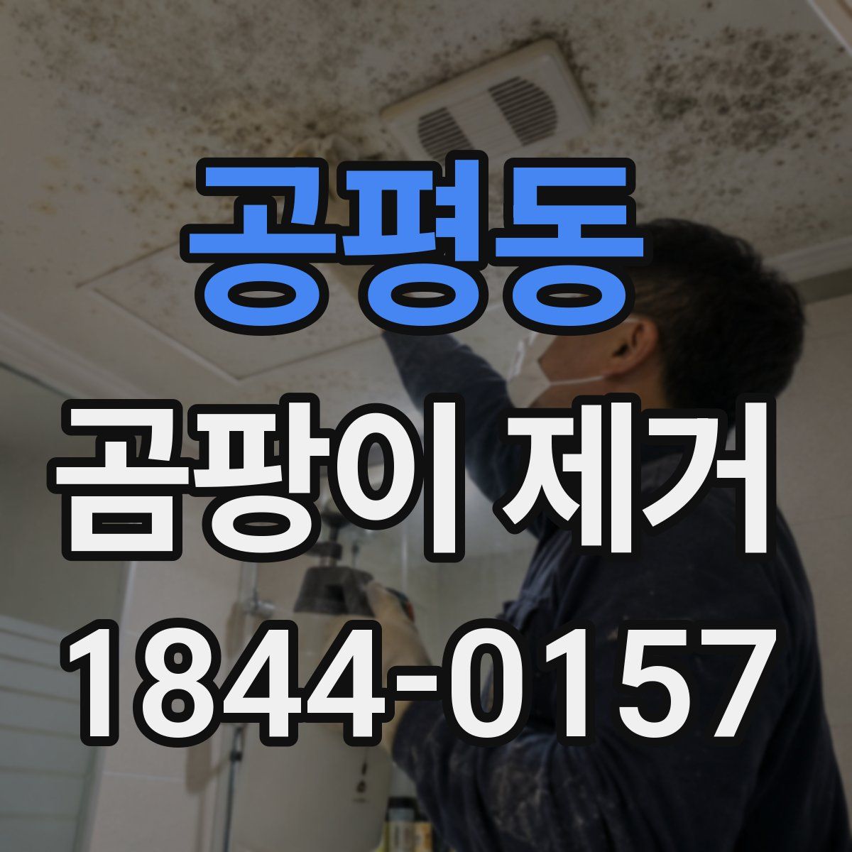 공평동 곰팡이 제거