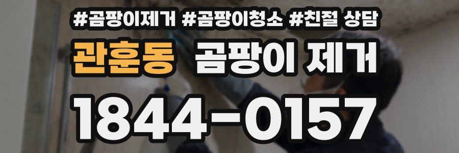 관훈동 곰팡이 제거