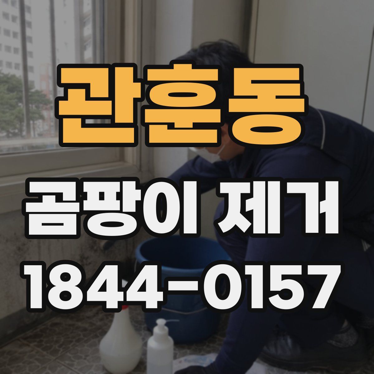 관훈동 곰팡이 제거