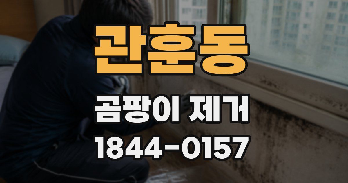관훈동 곰팡이 제거