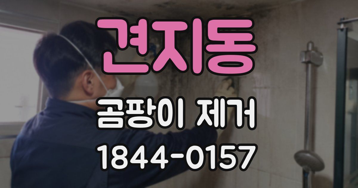 견지동 곰팡이 제거