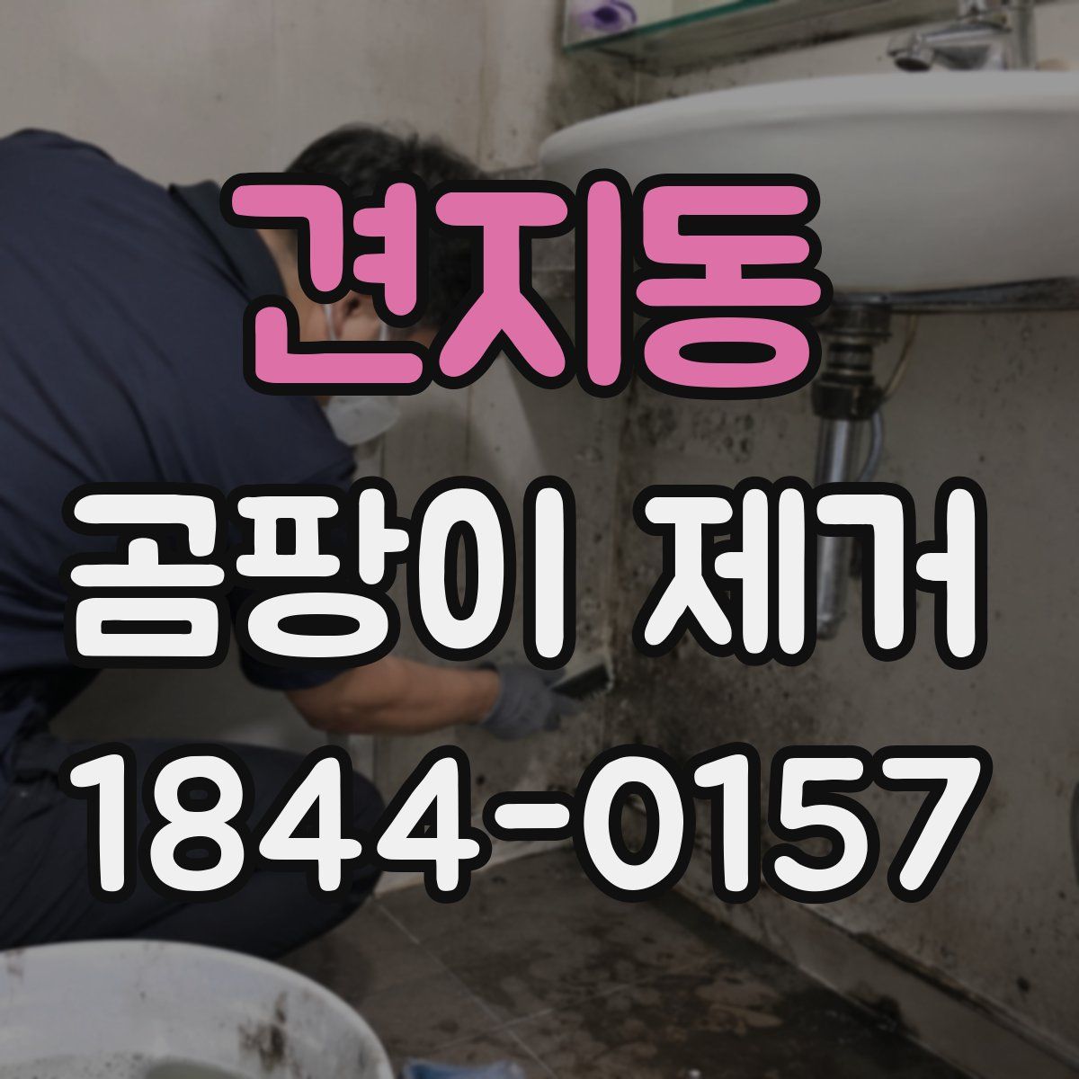 견지동 곰팡이 제거