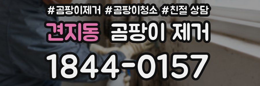 견지동 곰팡이 제거