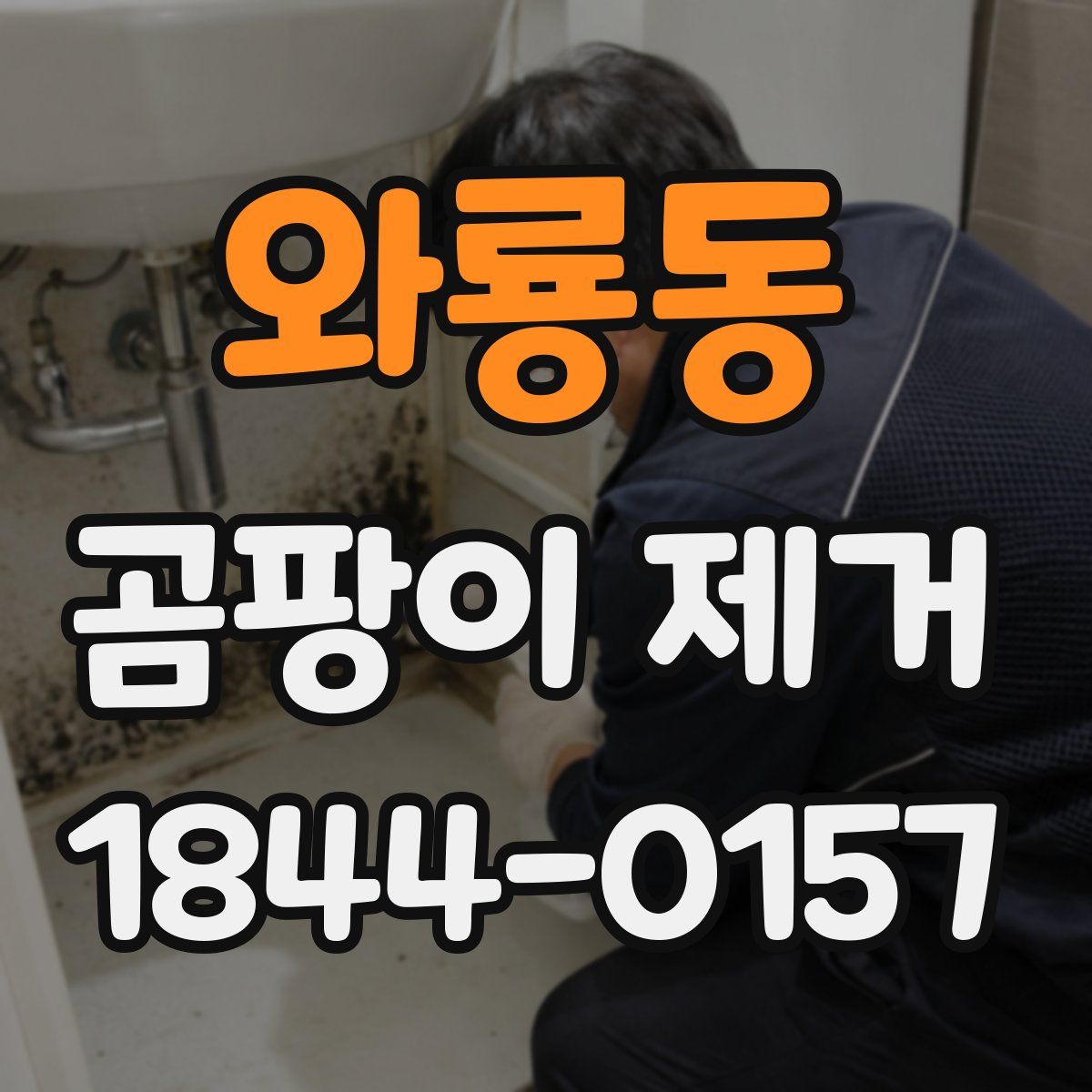 와룡동 곰팡이 제거