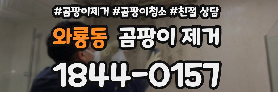 와룡동 곰팡이 제거