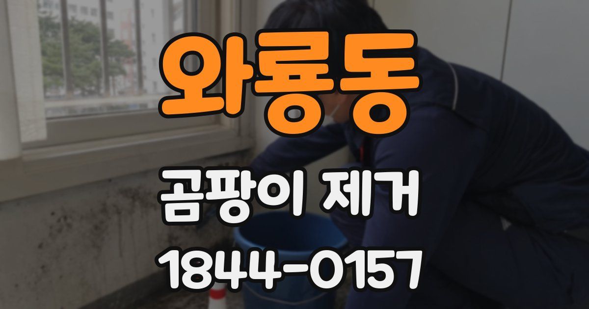 와룡동 곰팡이 제거