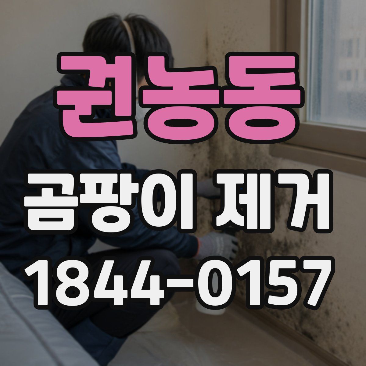 권농동 곰팡이 제거