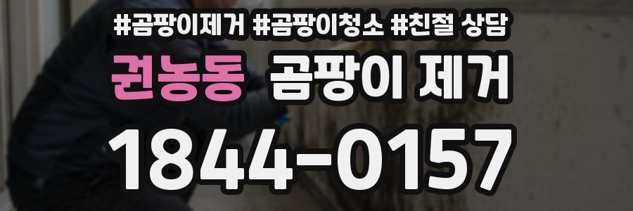 권농동 곰팡이 제거