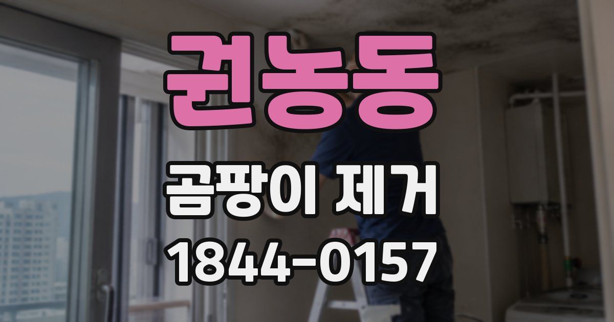 권농동 곰팡이 제거