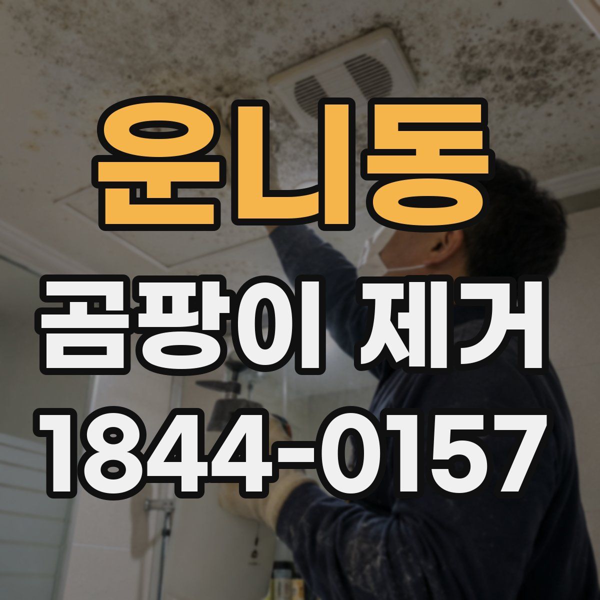 운니동 곰팡이 제거