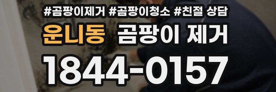 운니동 곰팡이 제거