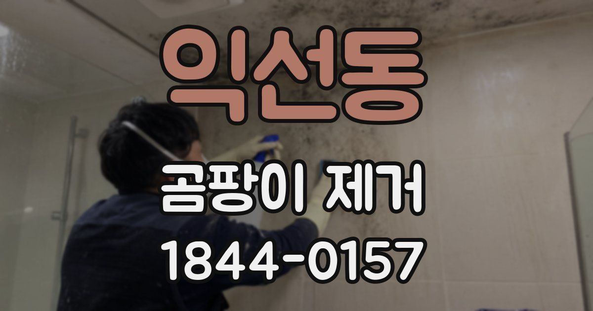 익선동 곰팡이 제거
