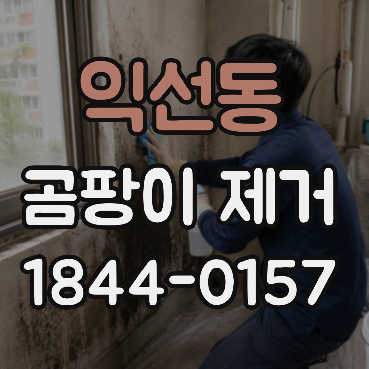 익선동 곰팡이 제거