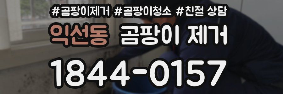 익선동 곰팡이 제거