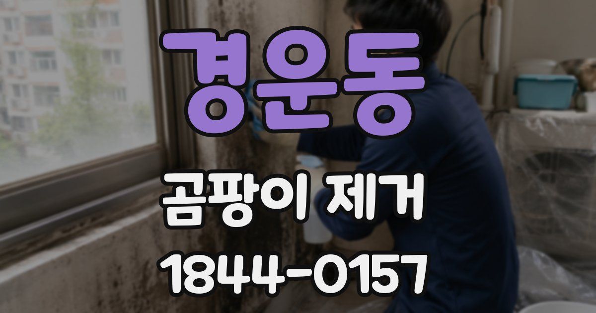 경운동 곰팡이 제거