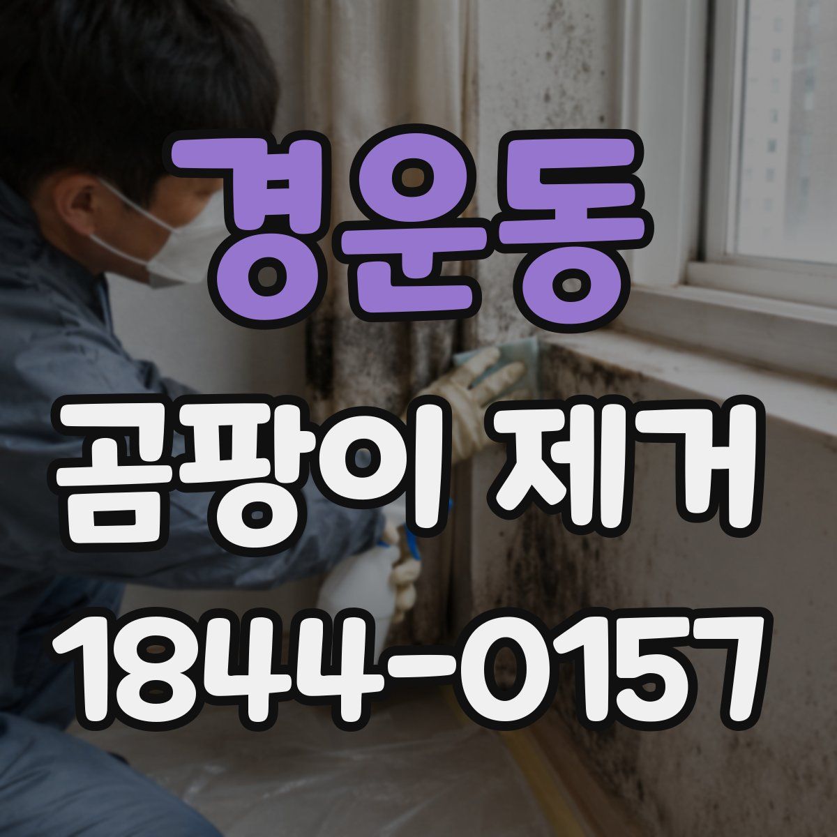 경운동 곰팡이 제거