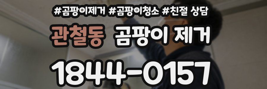 관철동 곰팡이 제거