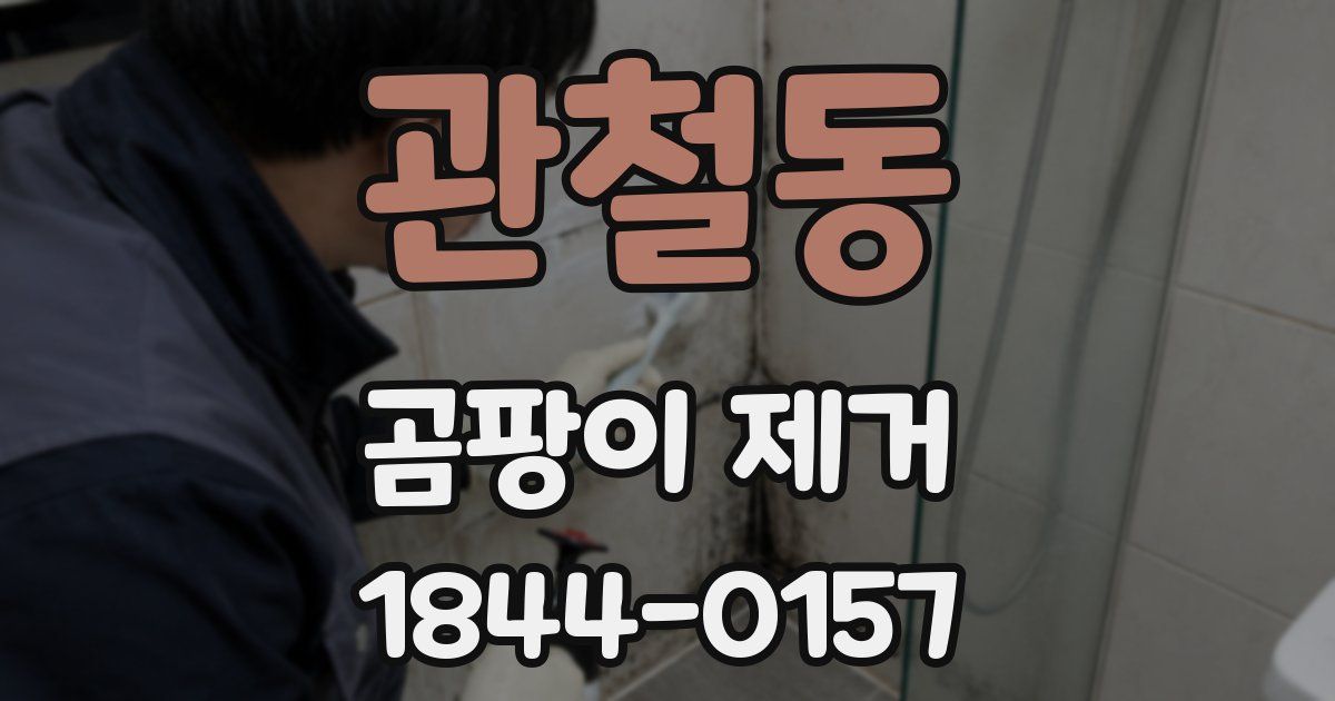관철동 곰팡이 제거