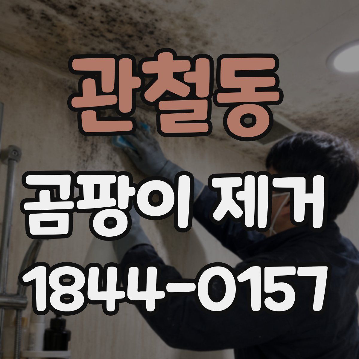 관철동 곰팡이 제거