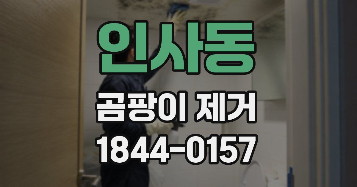 인사동 곰팡이 제거