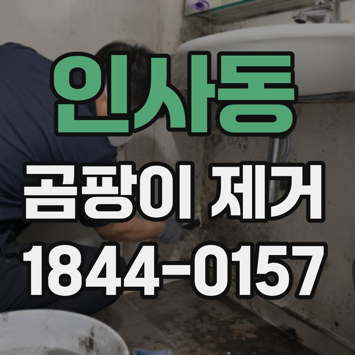 인사동 곰팡이 제거