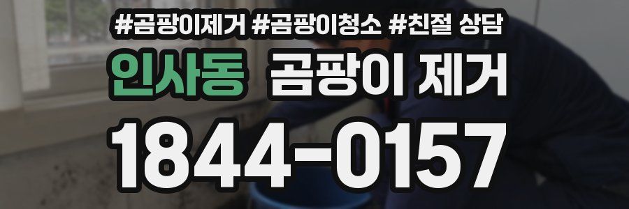 인사동 곰팡이 제거
