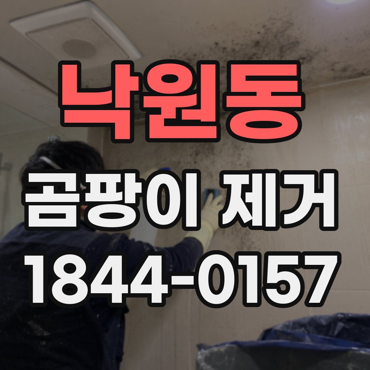 낙원동 곰팡이 제거
