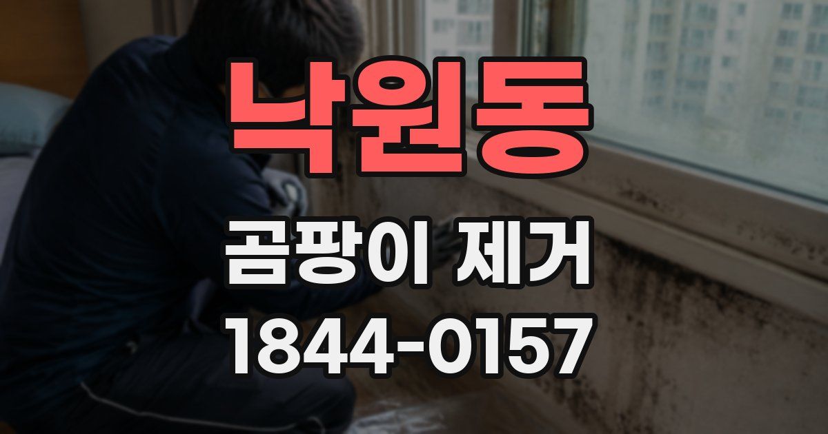낙원동 곰팡이 제거