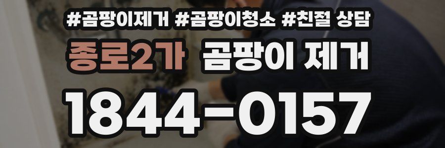 종로2가 곰팡이 제거