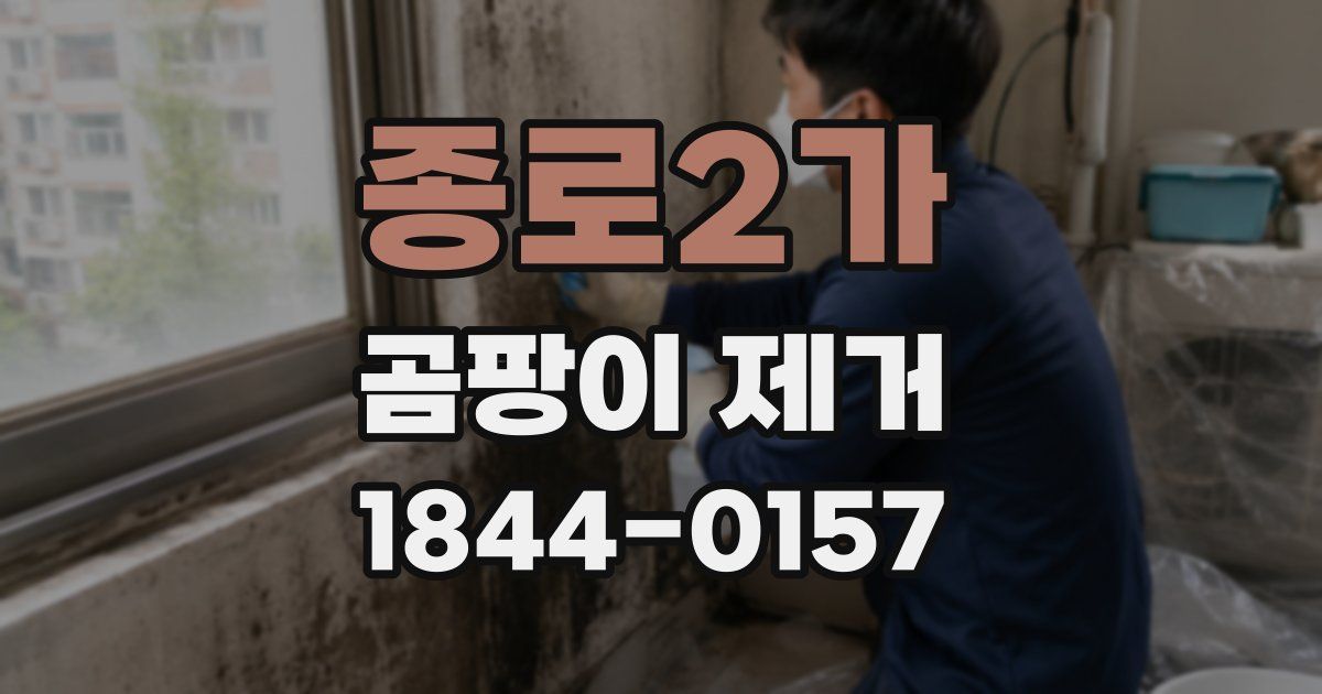 종로2가 곰팡이 제거