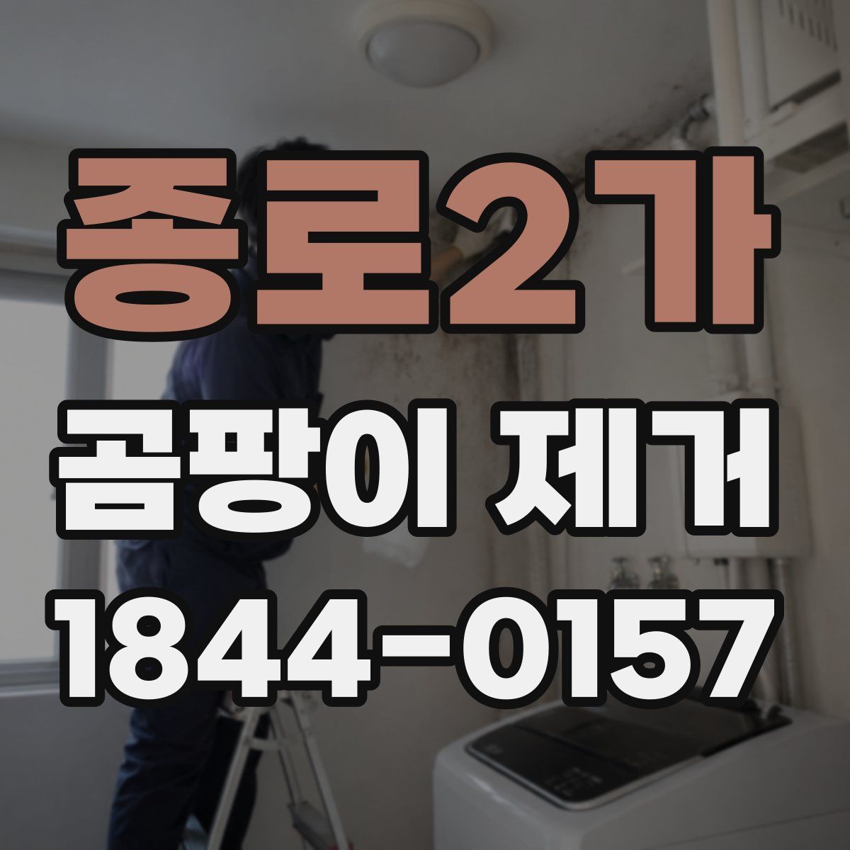 종로2가 곰팡이 제거