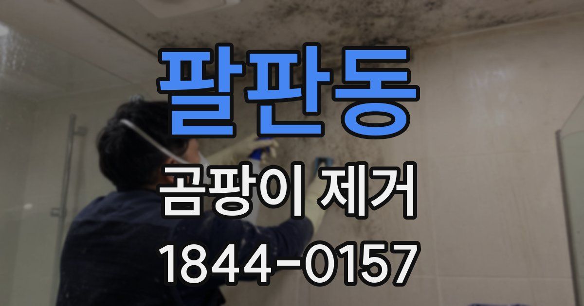 팔판동 곰팡이 제거