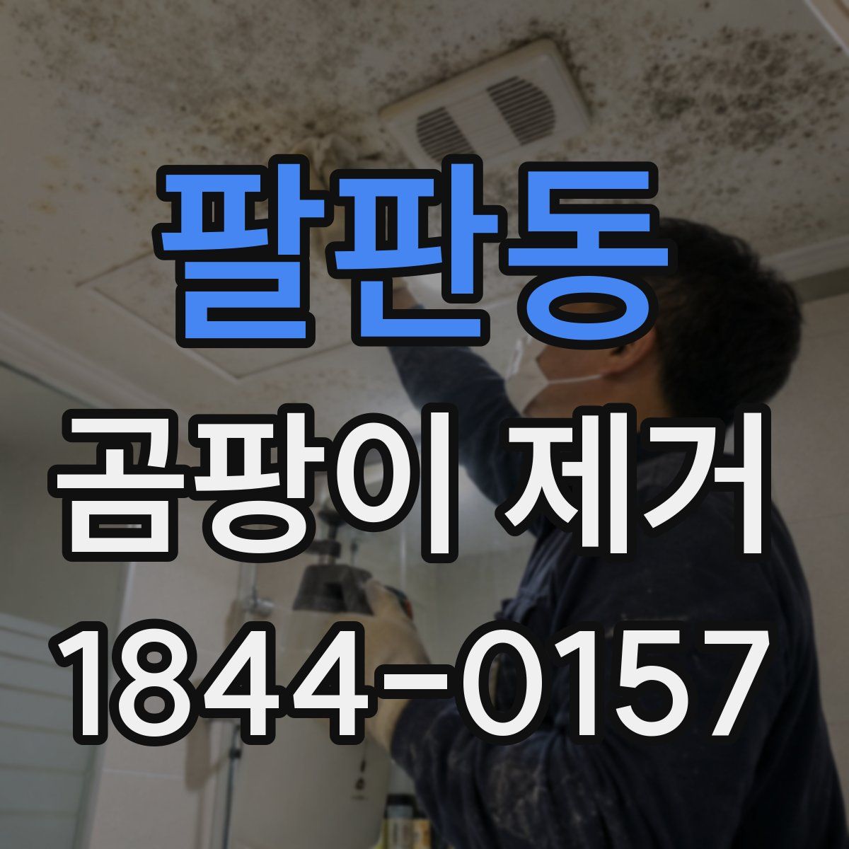 팔판동 곰팡이 제거