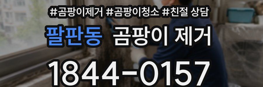 팔판동 곰팡이 제거
