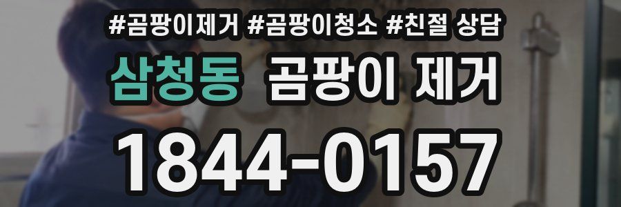 삼청동 곰팡이 제거