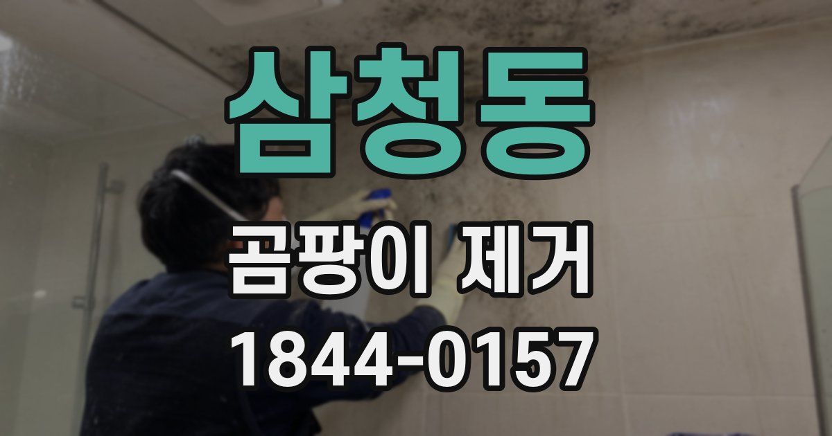 삼청동 곰팡이 제거