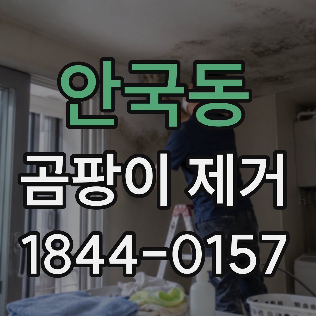 안국동 곰팡이 제거