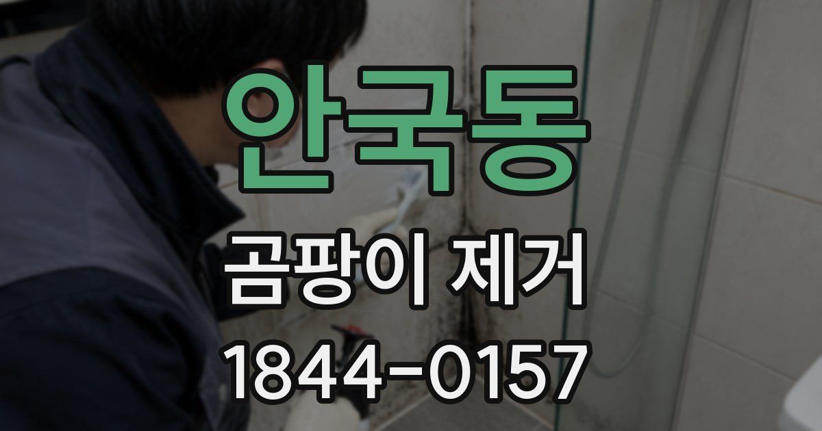 안국동 곰팡이 제거