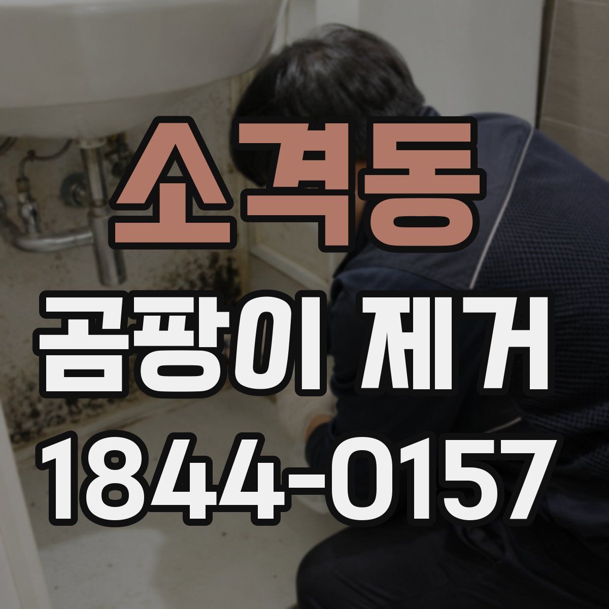 소격동 곰팡이 제거