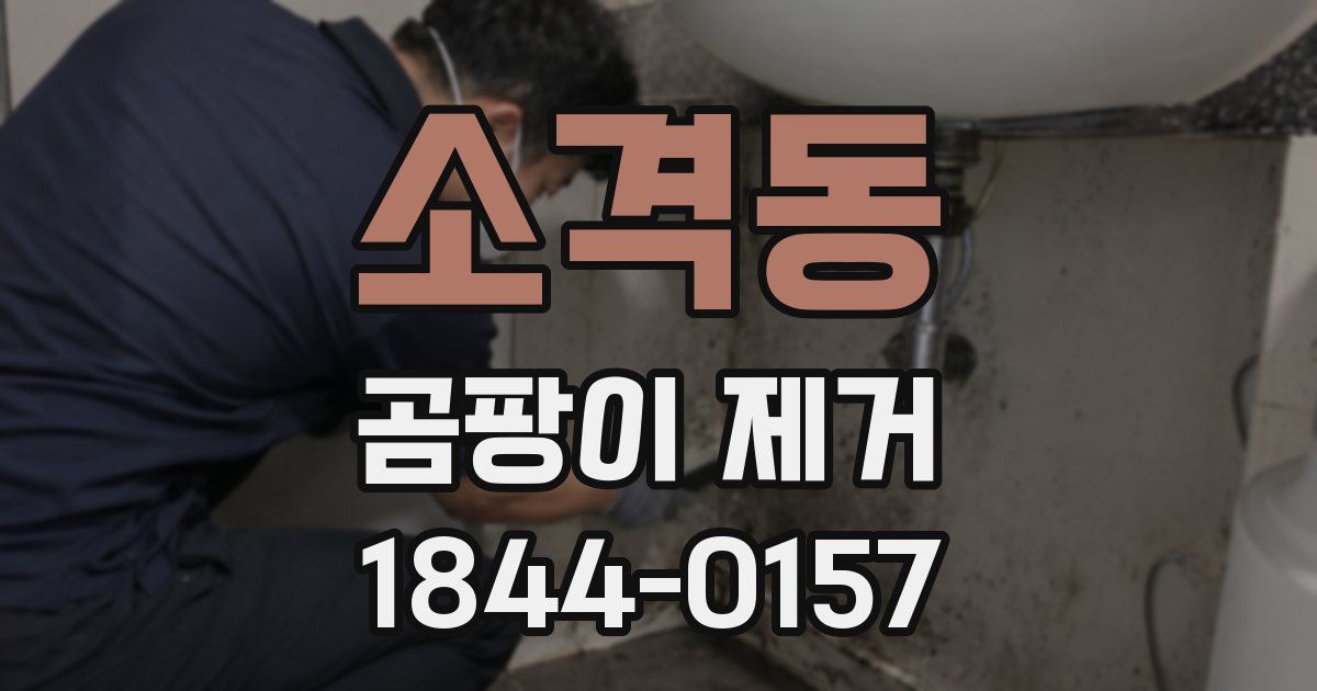 소격동 곰팡이 제거