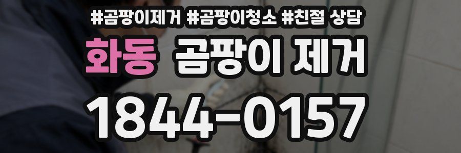 화동 곰팡이 제거