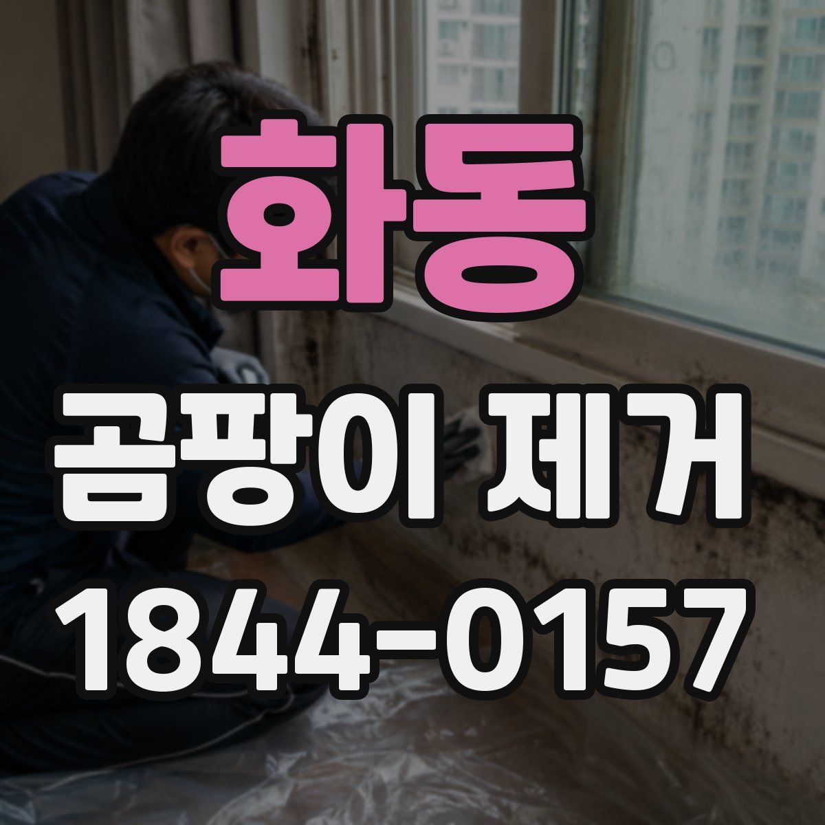 화동 곰팡이 제거