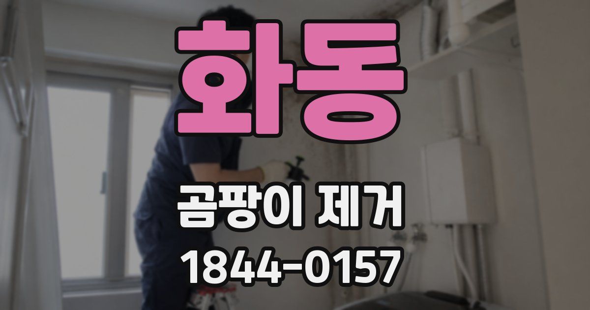 화동 곰팡이 제거