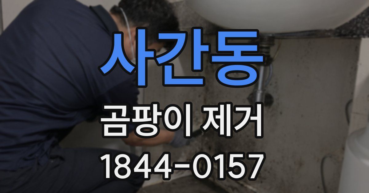 사간동 곰팡이 제거