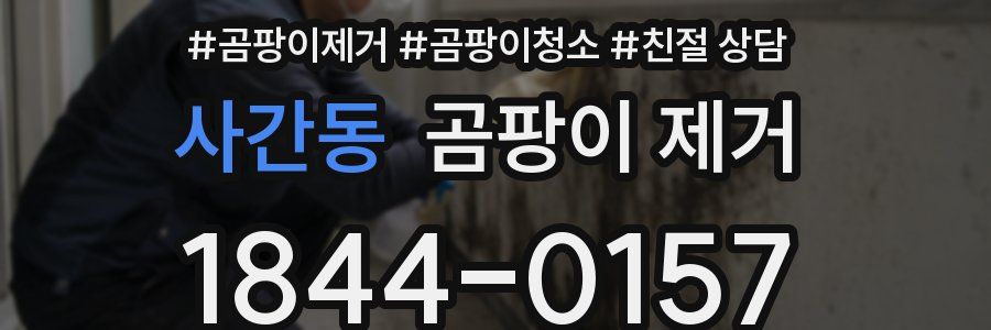 사간동 곰팡이 제거