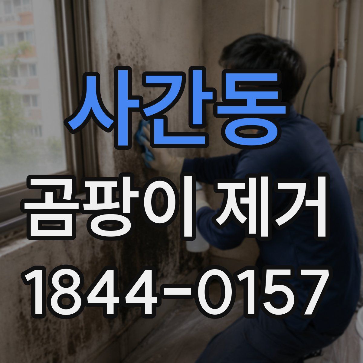 사간동 곰팡이 제거