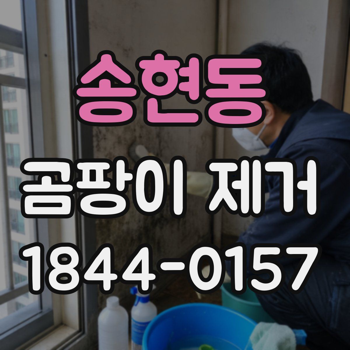 송현동 곰팡이 제거