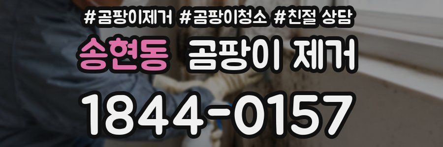 송현동 곰팡이 제거