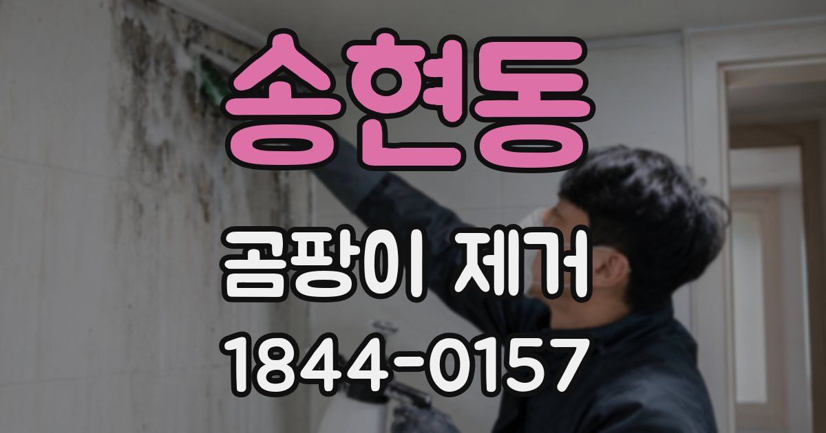 송현동 곰팡이 제거